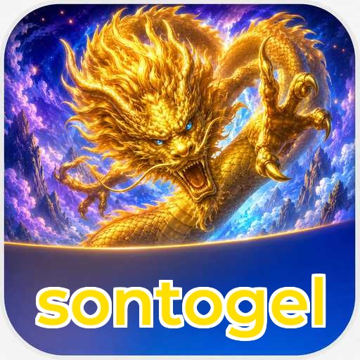 Performance Analysis - sontogel Benchmark Results