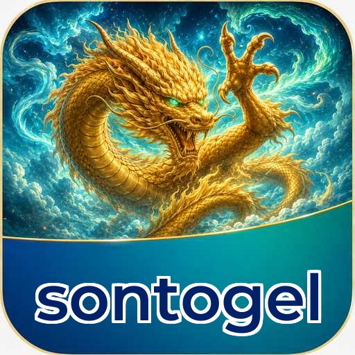 Installation Guide - sontogel Expert Tutorial